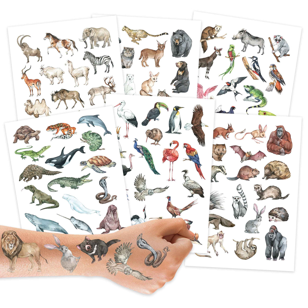 Papierdrachen – Kinder Tattoos