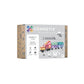MAGNETBAUSTEINE PASTEL TRANSPORT PACK - 50 TEILE