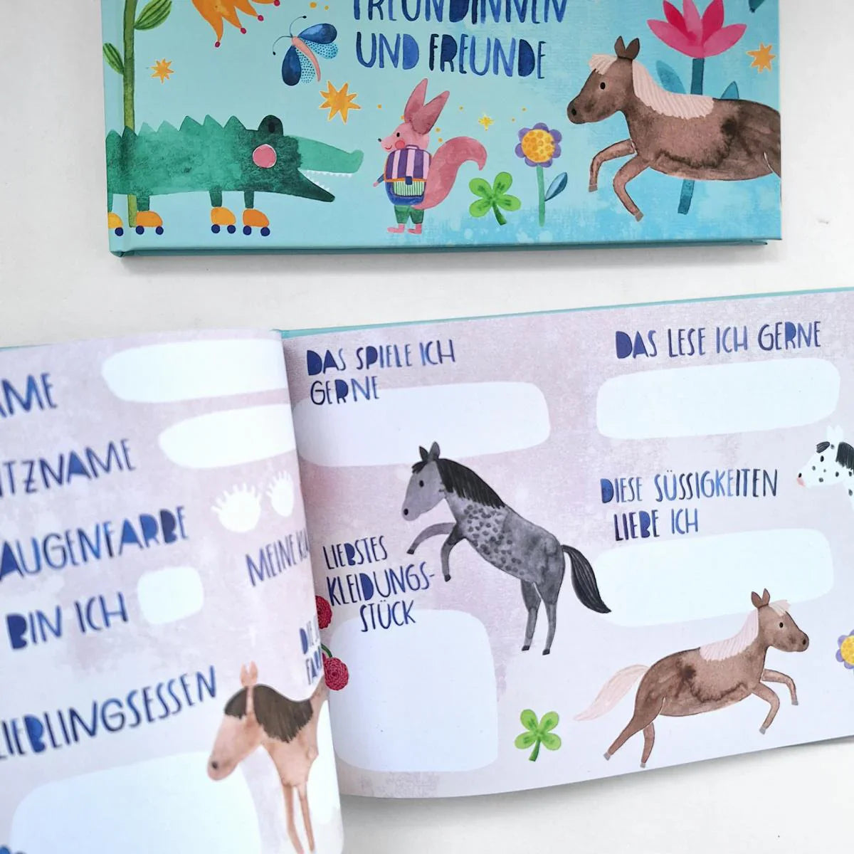 Frau Ottilie – Freundebuch Schule, DIN A5, Recyclingpapier