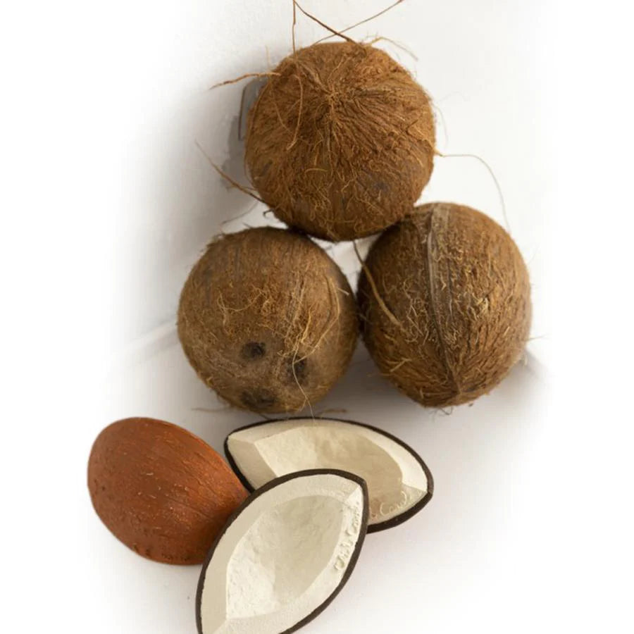 Oli & Carol - Beißring & Badespielzeug "Coco the Coconut"