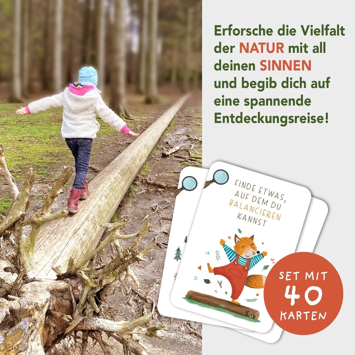 Rüsselfuchs – Entdeckerkarten für Kinder "Suchen & Finden"
