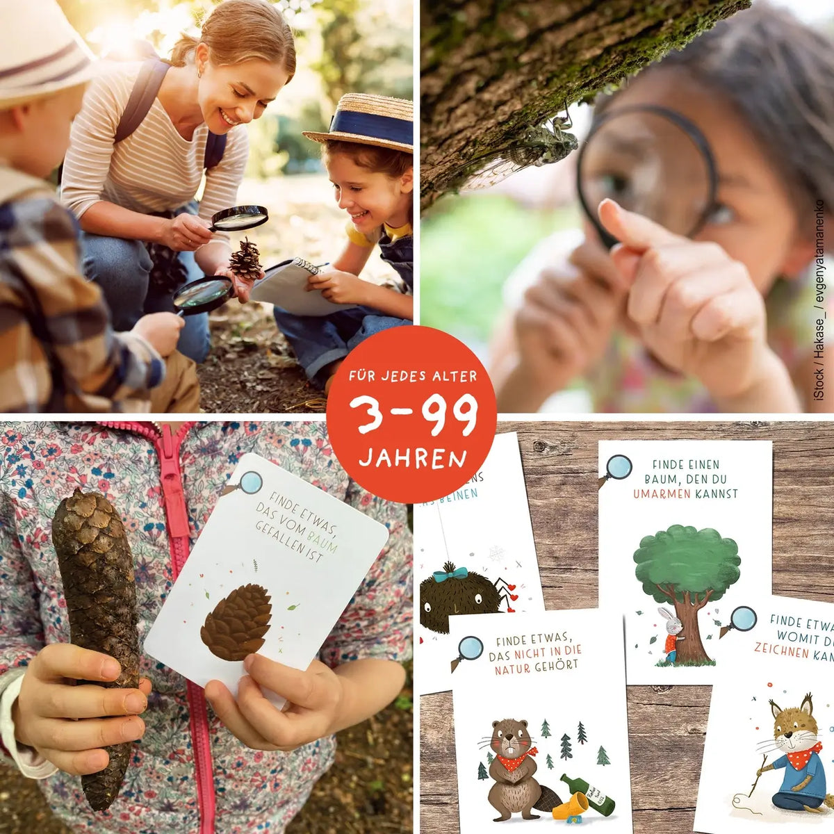Rüsselfuchs – Entdeckerkarten für Kinder "Suchen & Finden"